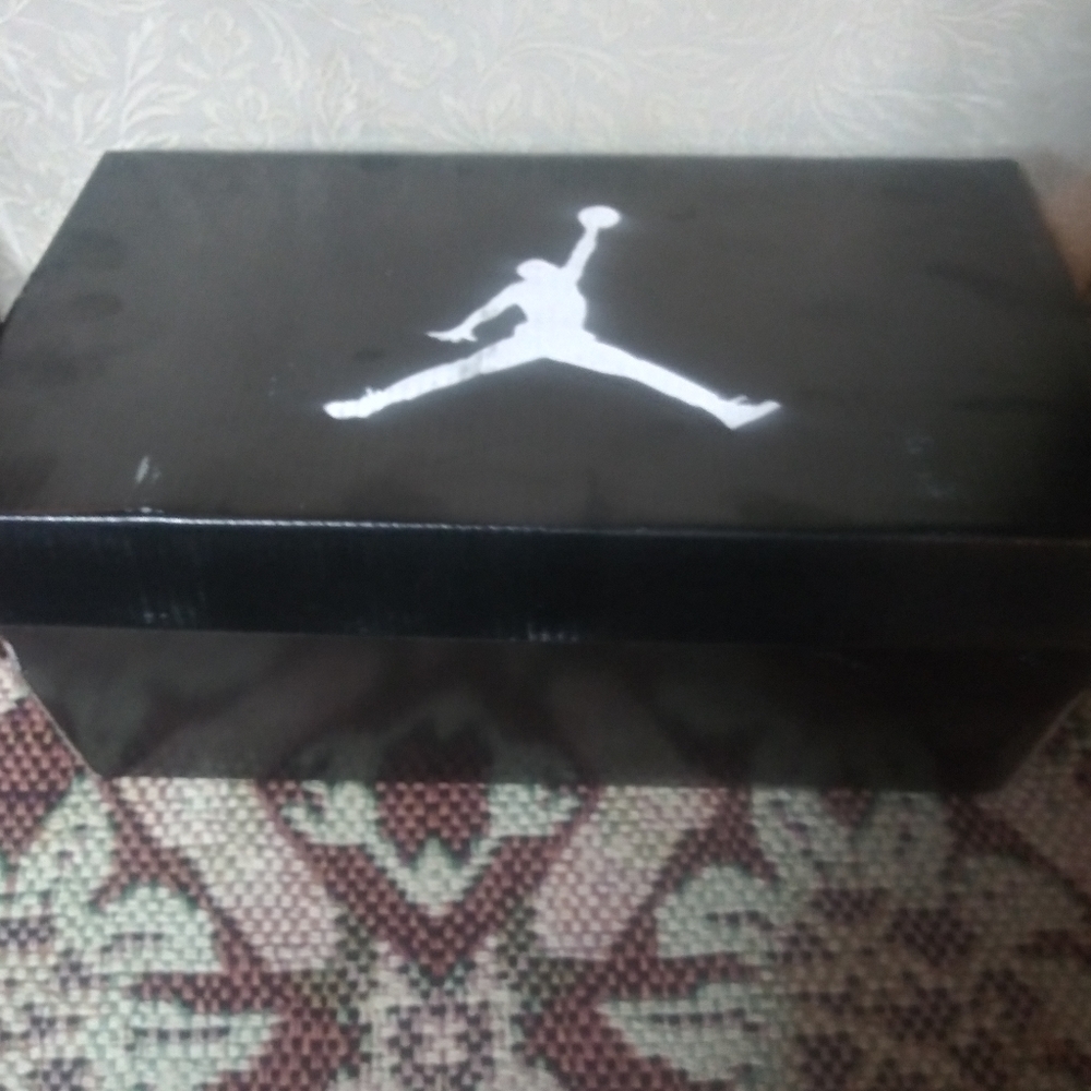 Air Jordan 10